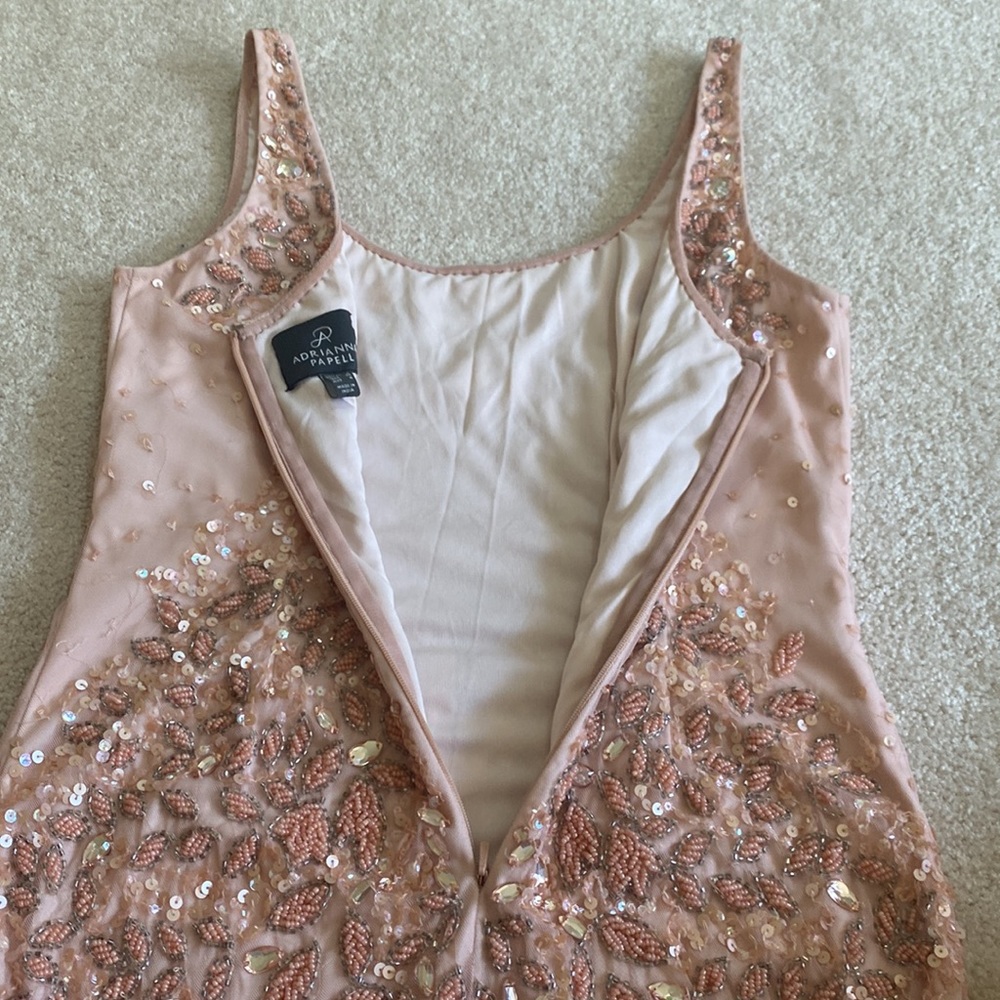 Adrianna Papell Dress - Picture 11 of 13